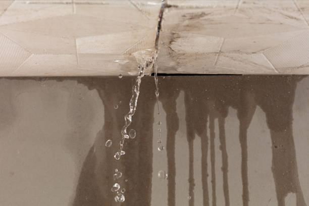 Professional Structural Drying technician working in West Newton, MA